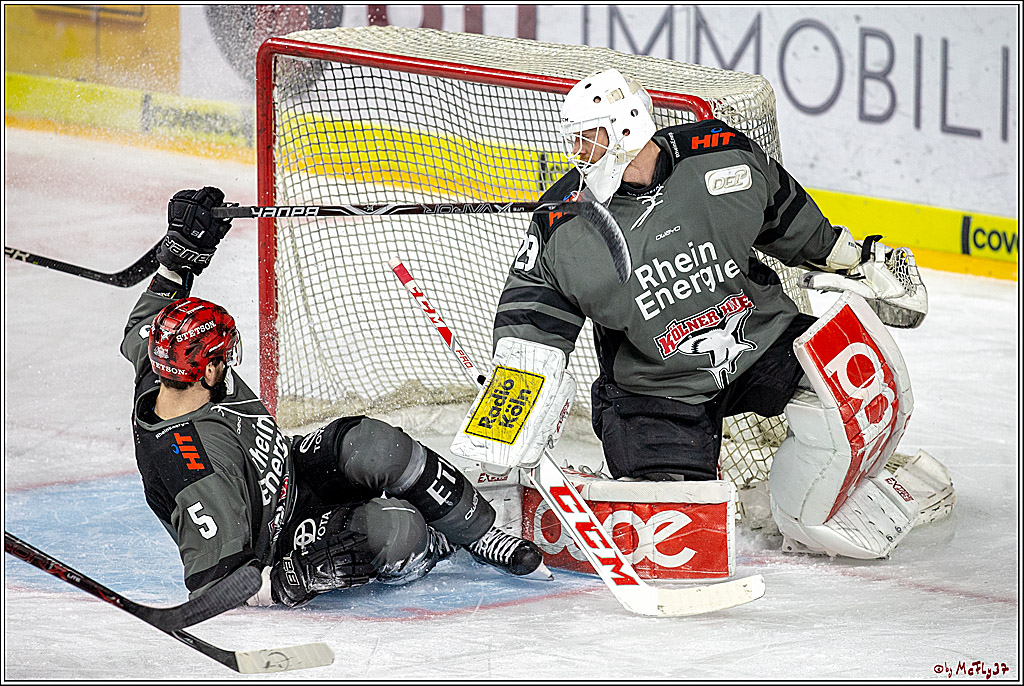 DEL; Koelner Haie - Fischtown Pinguins Bremerhaven, 06.01.2019